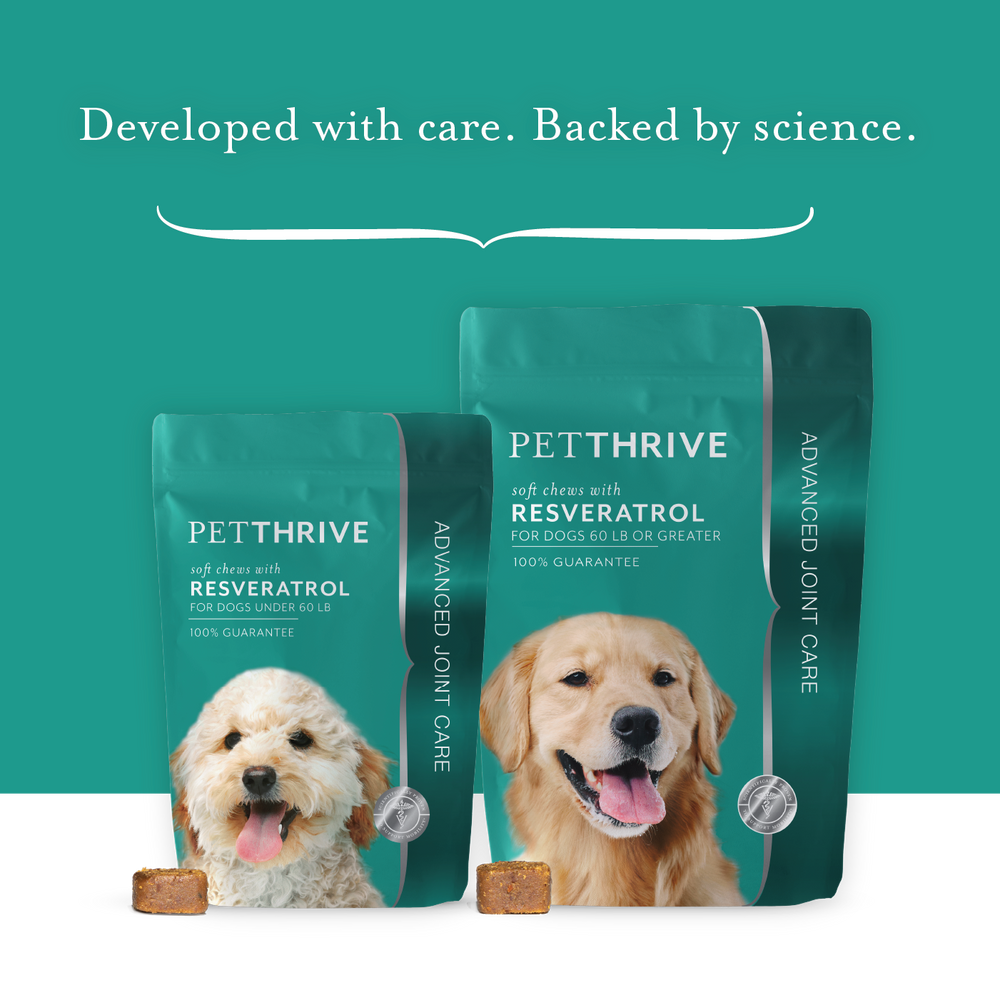 Petthrive