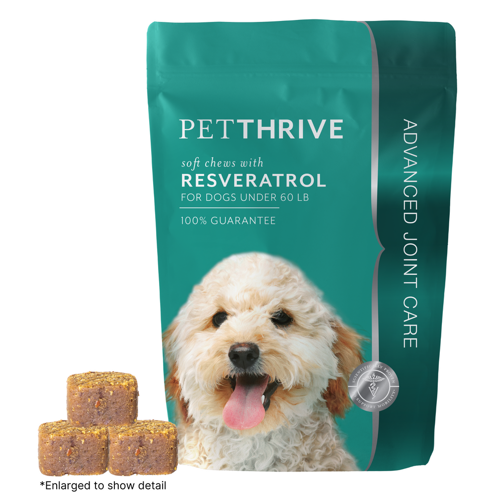 
                  
                    Petthrive Soft Chews With Resveratrol - Small Breed
                  
                